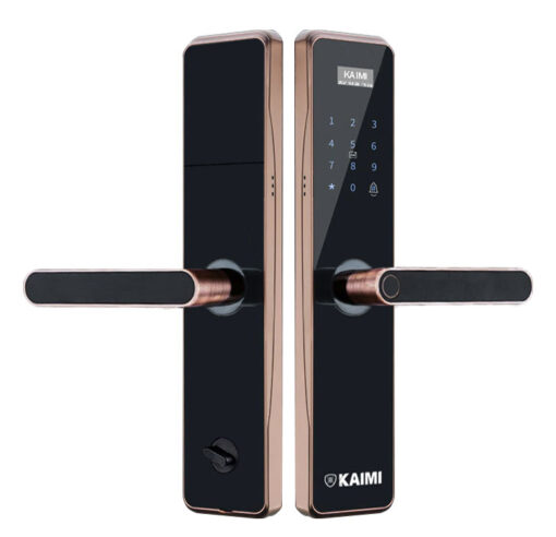 Khóa Vân Tay BTM101 Viền Đồng