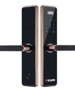 Khóa Vân Tay BTM101 Viền Đồng