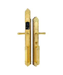 Khóa Đại Sảnh Tân Cổ Điển DS101