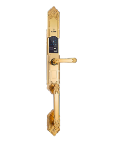 Khóa Đại Sảnh Tân Cổ Điển DS101